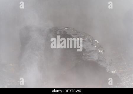 Thick fog obscures a large, dark animal. The animal's curved back and rounded shape emerge from the mist. Soft light diffuses through the hazy air. Th Stock Photo