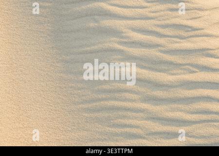 Fine sand with gentle wind-formed ripples in Baltic Sea dunes, creating a calm minimalist texture with soft shadows and natural patterns Stock Photo