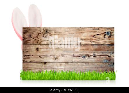 Easter rabbit ears peeking out behind old textured wood sign isolated on white background with clipping path. Spring banner design with copy space. Id Stock Photo
