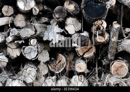 Close-up of a stacked pile of cut logs and weathered firewood revealing bark, cracked growth rings and rough wood texture, ideal for rustic, forestry, Stock Photo