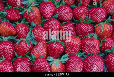 Close up of fresh ripe strawberries with green leaves filling the frame, displayed at a market stall, creating a natural fruit background with rich te Stock Photo