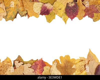 Upper and lower frame made from fallen autumn leaves with empty cutout Stock Photo