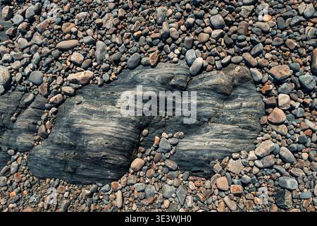 A close-up view of assorted smooth pebbles resting on a rugged, textured rocky shore. The variety of colors and sizes creates a natural, harmonious pa Stock Photo