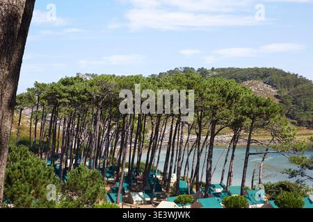 Stunning view of a tall pine forest with a glimpse of turquoise water in the background at Cies Islands, a natural paradise located off the coast of G Stock Photo