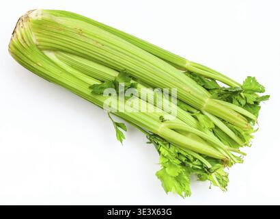 Fresh cut celery stalks on white background Stock Photo