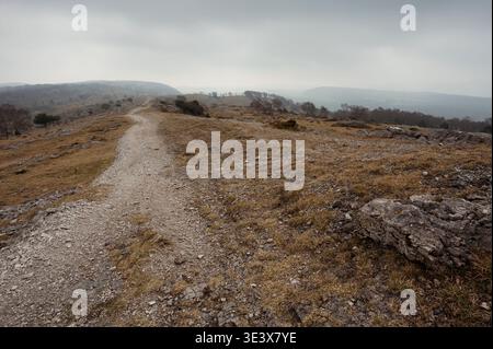 The footpath along the ridge of Whitbarrow Scar on a cloudy spring day in the English Lake District, UK Stock Photo