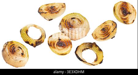 Grilled onion rings and slices isolated on white background, full depth of field Stock Photo