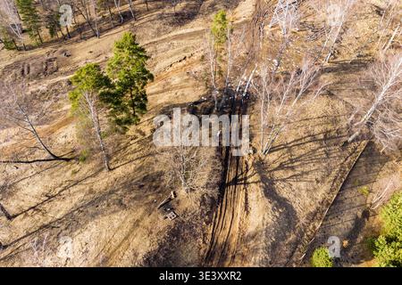Aerial view of a rugged hillside with vibrant pine trees, sparse leafless birches, and a worn dirt track cutting through dry grass. Late autumn vibe Stock Photo