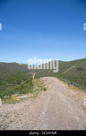 Dirt Coastal Hiking Trail Winding Through Green Hills Under A Clear Blue Sky. Stock Photo