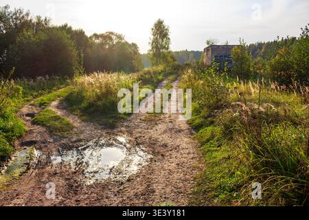Rural dirt road forks, muddy puddle reflecting sunlight, leading through overgrown fields towards a distant brick shack and trees Stock Photo