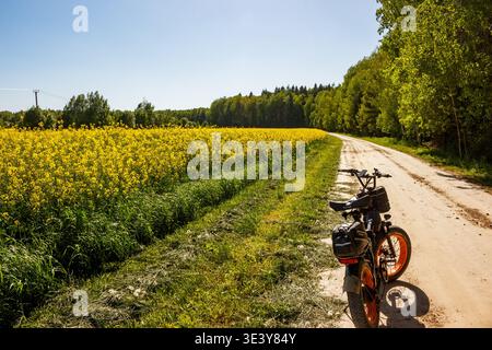 Serene countryside journey through blooming rapeseed fields, an e-bike waiting on a sun-drenched dirt road for the next discovery: Russia - May 28, 20 Stock Photo