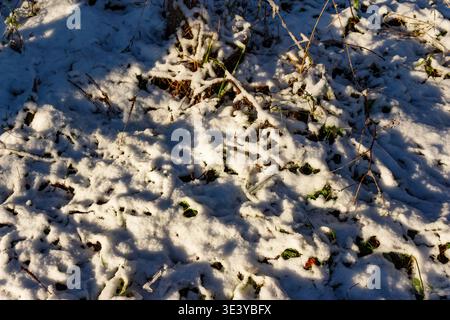 First light dusting of snow blankets rough ground texture with bright sun illuminating patches of white and deep blue shadow Stock Photo
