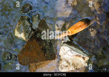 Rusty trowel abandoned in shallow, clear water among wet stones, showing signs of decay and neglect in a natural setting Stock Photo