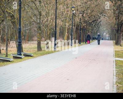 Two people stroll down a quiet, tree-lined path. Autumn leaves rest gently on grass and pavement. Black lampposts line the walkway, casting soft shado Stock Photo
