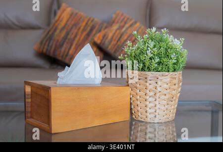 Wooden tissue box with potted plants on the glass table in the living room, Sunlight. Selective focus. Stock Photo