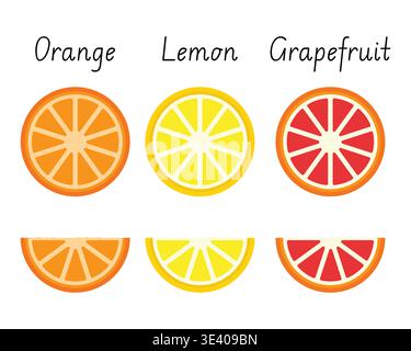Citrus fruit slice vector set isolated on white Stock Vector