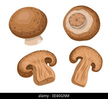 Champignon mushroom set vector illustration for market design. Whole and slice brown portobello in cartoon style for Italian menu. Realistic fungi for logo template or organic farm graphic element. Stock Vector