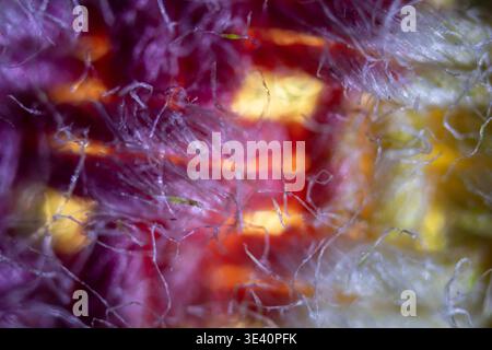 Tissue fibers at high magnification under the microscope Stock Photo