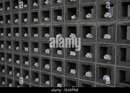 White Seashells Displayed in Concrete Breeze Block Wall Stock Photo