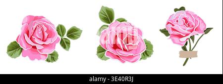 Beautiful vector illustration pink hand drawn collection of roses. Set vintage painting and botanical illustration. Save the date or valentine's day Stock Vector