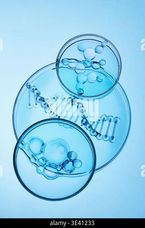 Abstract cosmetic lab. Visualizing dna helix and molecular structures in petri dishes Stock Photo