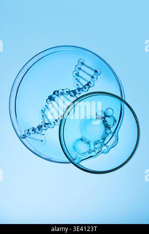 Abstract cosmetic lab. Dna helix in petri dish for genetic research Stock Photo