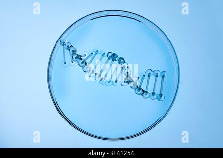 Abstract cosmetic lab. Dna double helix model resting in a glass petri dish Stock Photo