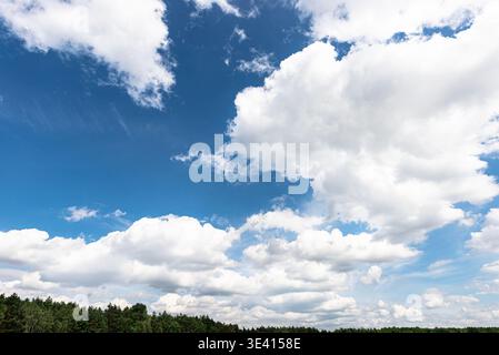 Fluffy white cumulus clouds float across a bright blue summer sky above a forest Stock Photo