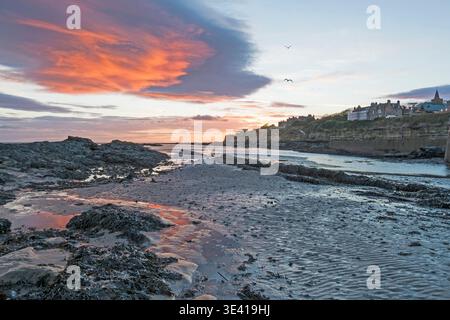 Golden-pink sunset clouds over St Andrews West Sands illuminate rock pools and wet sand at low tide. Seagulls fly above a rugged shoreline with the hi Stock Photo