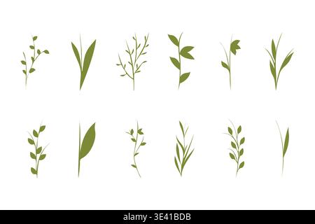 Twelve simple green plant stems and leafy branches illustrate diverse botanical shapes. They are clearly displayed on a plain white surface, each showing unique forms. Stock Vector