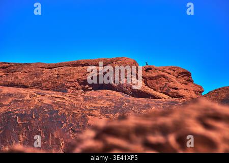 Big Horn Sheep on Red Rock Ridge Under Clear Blue Sky in Nevada Desert Stock Photo