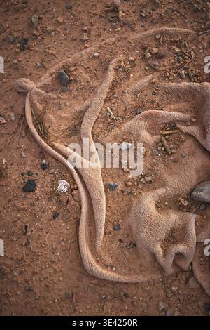 Abandoned Towel on Nevada Desert Ground with Rocks and Debris Close Up Stock Photo