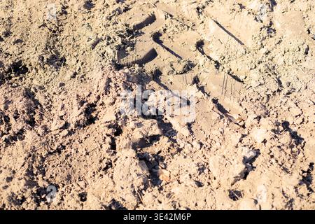 Deep tire tracks on wet, sandy soil. Impact of off-road vehicle traffic and human activity on the ground surface. Stock Photo