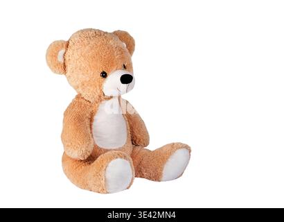Big brown teddy bear on white background Stock Photo