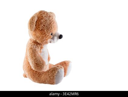 Big brown teddy bear on white background Stock Photo