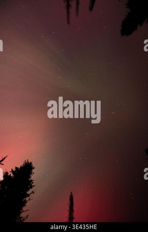 Silhouettes of trees against glowing red night sky with visible stars Stock Photo