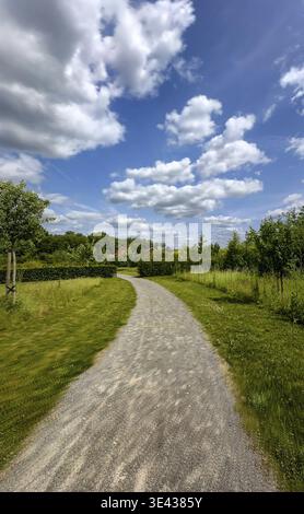 A beautiful scenic pathway that is surrounded by lush, vibrant greenery and fluffy white clouds in a clear blue sky Stock Photo