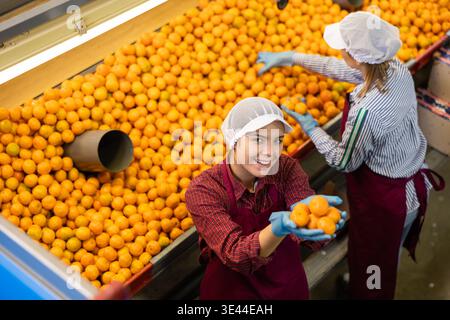 Two cheerful female workers hold ripe fresh sorted tangerines in their palms. Top view. Stock Photo