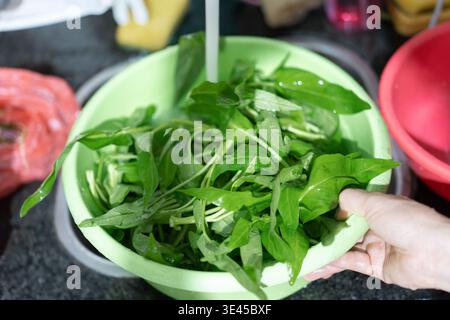 Fresh Water Spinach Leaves Being Washed in Green Bowl by Hand in Kitchen, Asian Cuisine Stock Photo