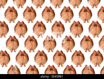 Pomeranian spitz seamless pattern hand drawn with colored pencils on white background. Repeatable dog breed illustration for textile prints, wrapping Stock Photo