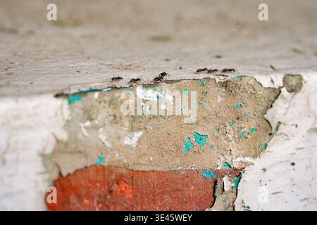 Insects trail along a chipped wall showing peeling teal paint and rough texture Stock Photo