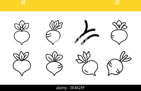 Comparison of different types of root vegetables resembling radishes and turnips isolated on transparent background Stock Vector