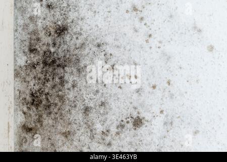 The internal wall of a house is heavily attacked by mold and is completely stained Stock Photo
