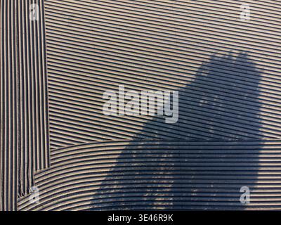 Aerial view of a building's shadow cast across a striped surface, creating a stark contrast between light and dark, Arriën, Overijssel, Netherlands. Stock Photo
