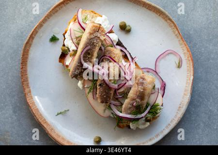 Sardines and apple salad on toast Stock Photo