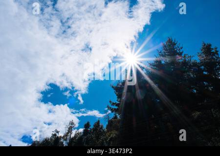 Beautiful nature background of blue sky and dynamic white cumulus clouds over green pine forest, golden sunbeams or sun rays shining through tree bran Stock Photo