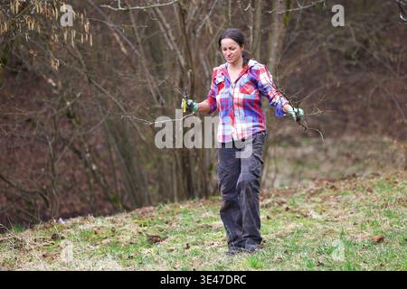 Woman carrying freshly cut branches after spring orchard maintenance, capturing a grounded moment of seasonal tree care, practical outdoor work and th Stock Photo