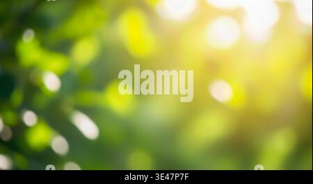 Green bokeh nature background spring summer concept blurred leaves soft sunlight effect forest garden outdoor light organic ecology environment design Stock Photo