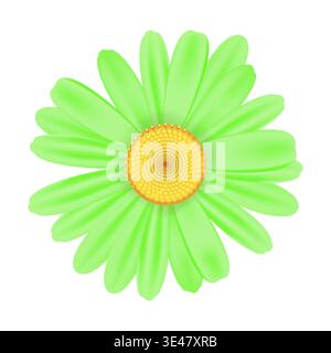 Realistic chamomile daisy flower icon Stock Vector
