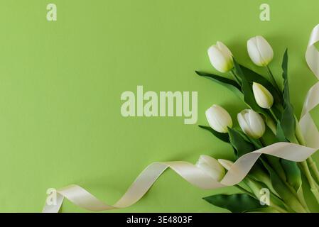 Elegant spring composition featuring white tulips arranged on a soft green background with a flowing satin ribbon. Easter or Mothers Day celebration Stock Photo
